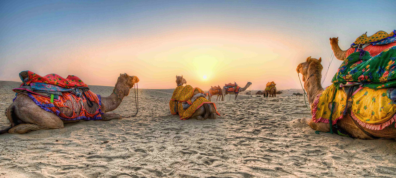 Desert Festival Budget Tours in Rajasthan 